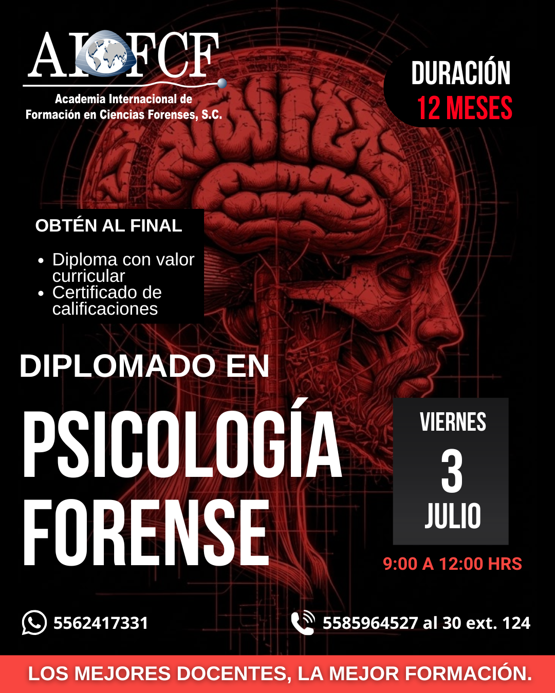 DIPLOMADOS (13)