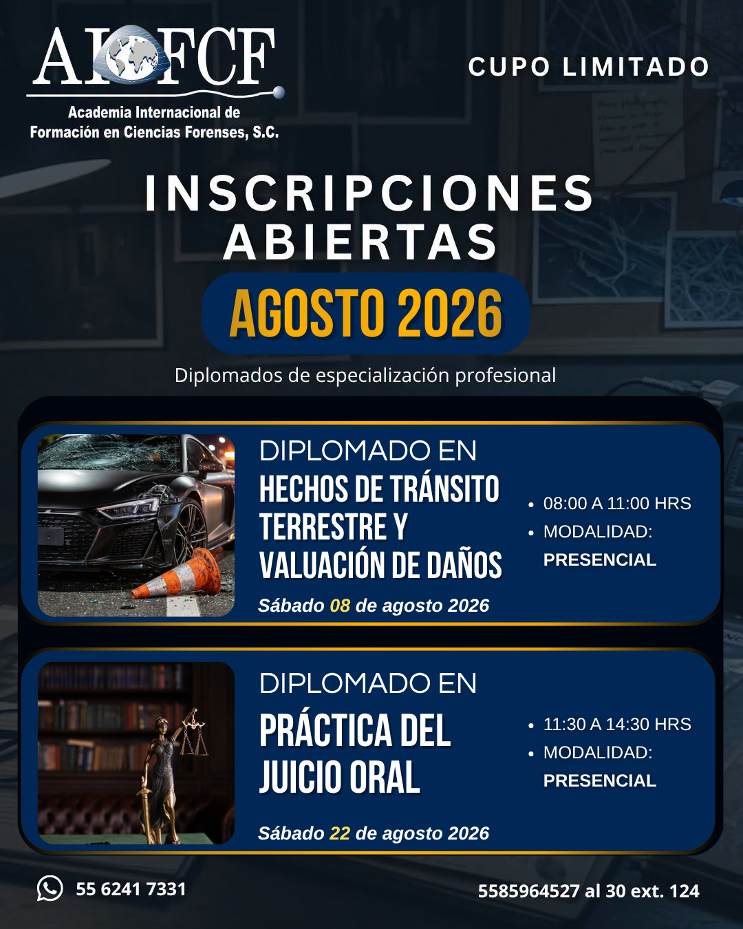 DIPLOMADOS (28)