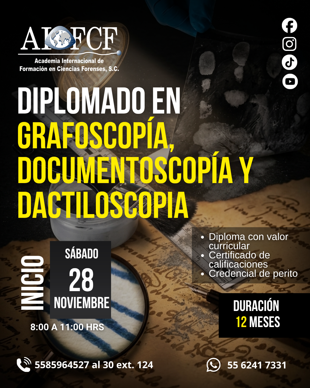 DIPLOMADOS (19)