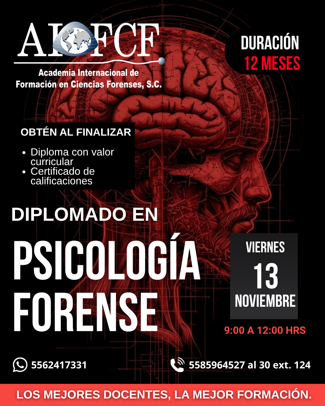 DIPLOMADOS (21)